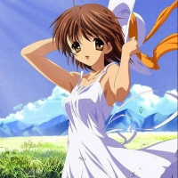 author avatar